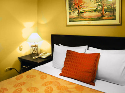 Leon De Oro Inn&suites 3* Lima